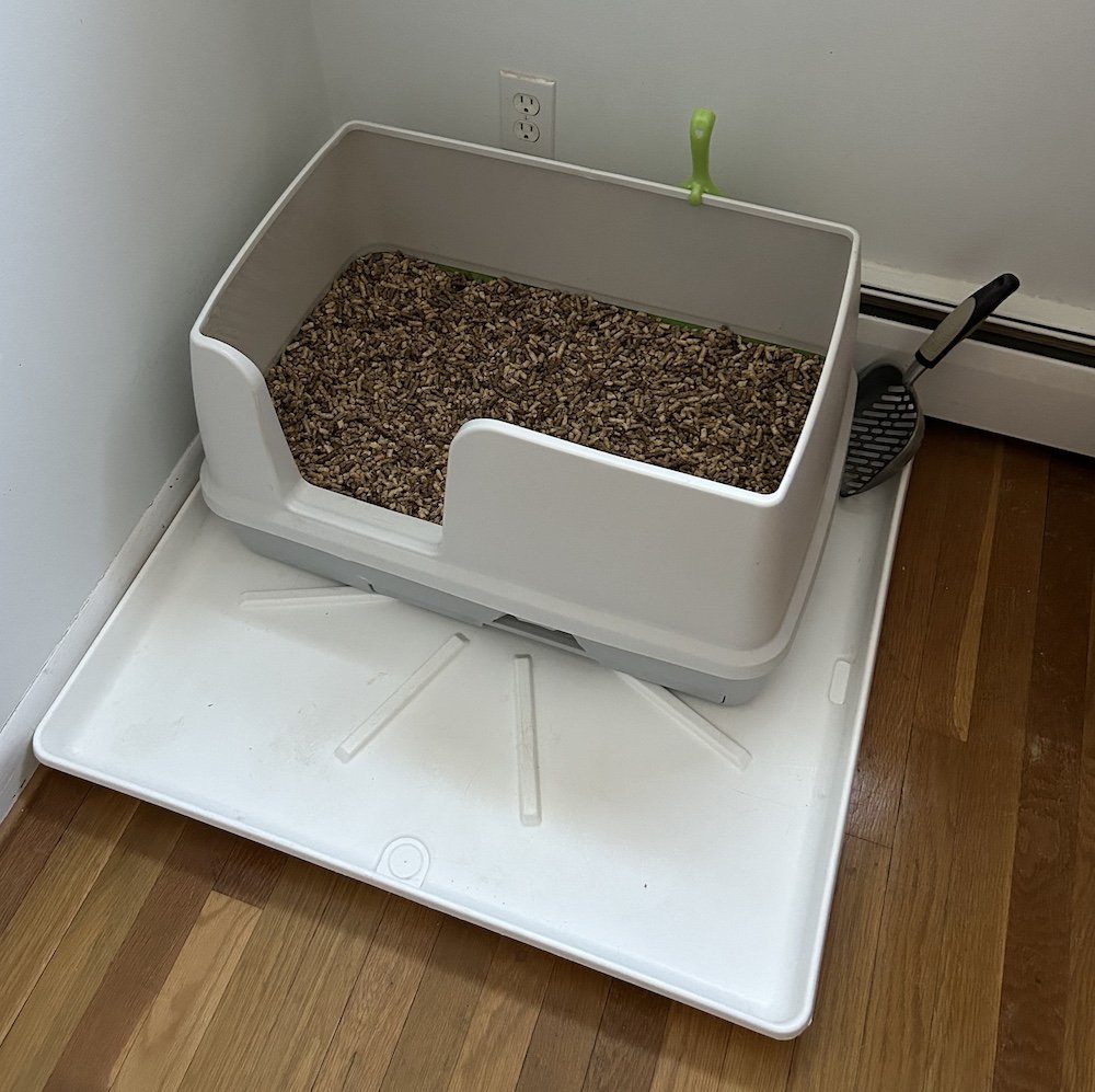 best-cat-litter-box