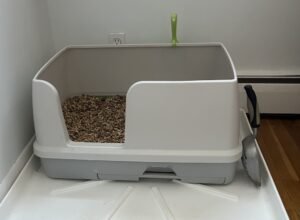 large-cat-litter-box