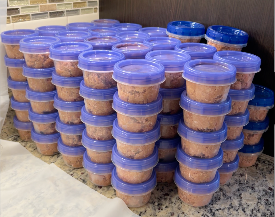 raw-cat-food-diet-with-cat-supplements