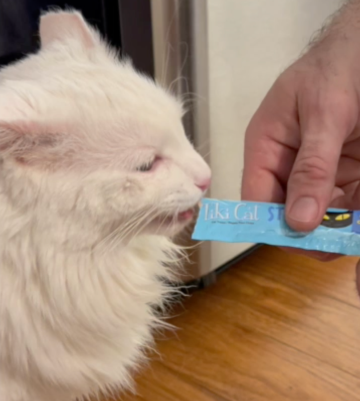 zakk's-healthy-cat-treats